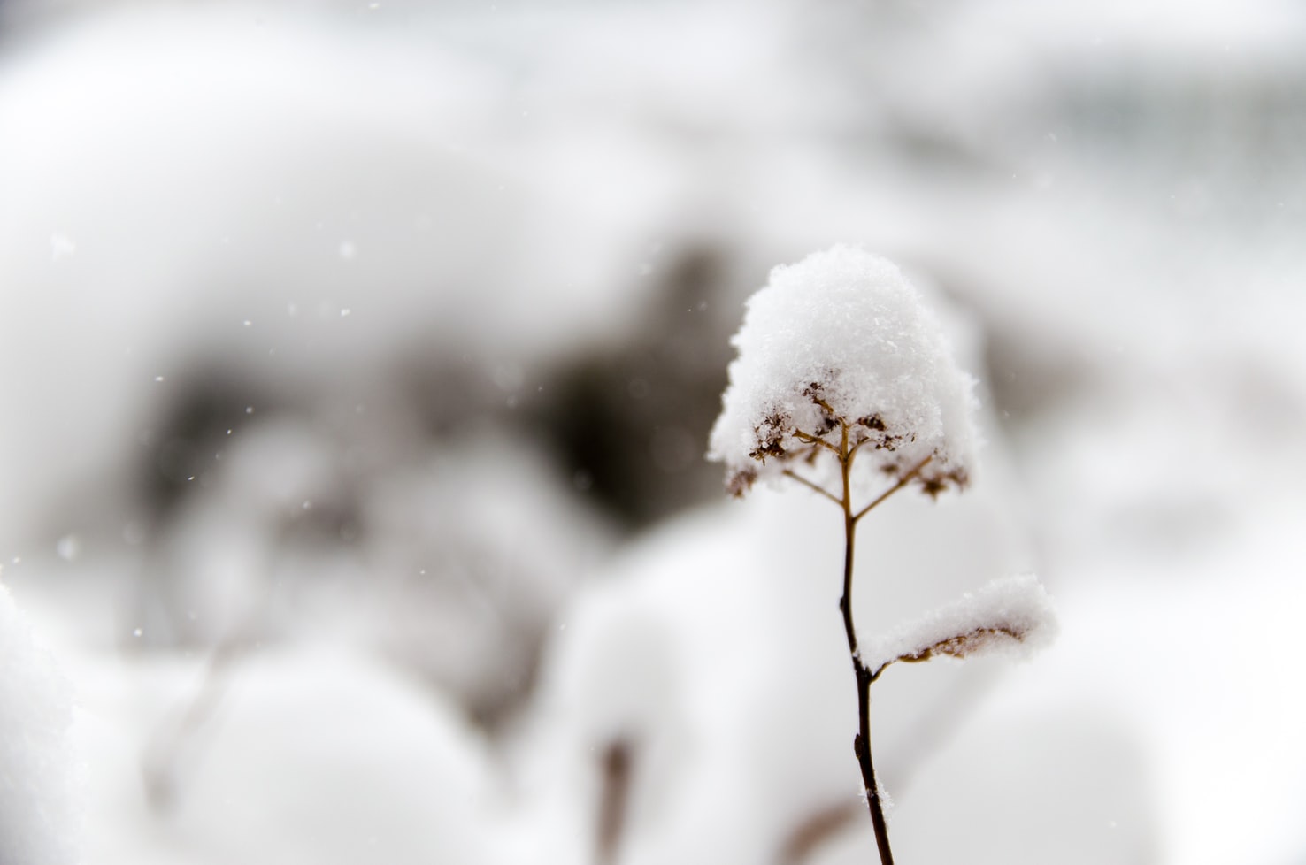 第34回　落雪によるトラブル事例