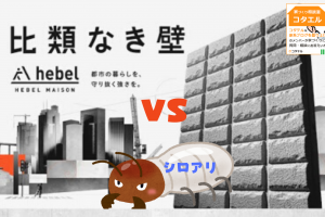ヘーベルハウスの家を建てる手順 First Contact編 コダテル